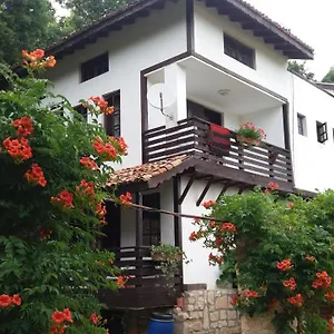 Nasco , Золотые Пески Болгария